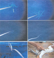 La secuencia de seis imágenes del calamar gigante o kraken fotografiado en aguas de Japón, le muestran -de izquierda a derecha y de arriba a abajo- al poco de haber atrapado el cebo, tirando del aparejo para desenganchar su tentáculo en las sucesivas tres