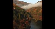 El cañón Arashiyama en otoño